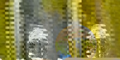 Glasskule