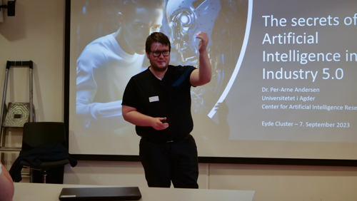 Per-Arne Andersen, University of Agder